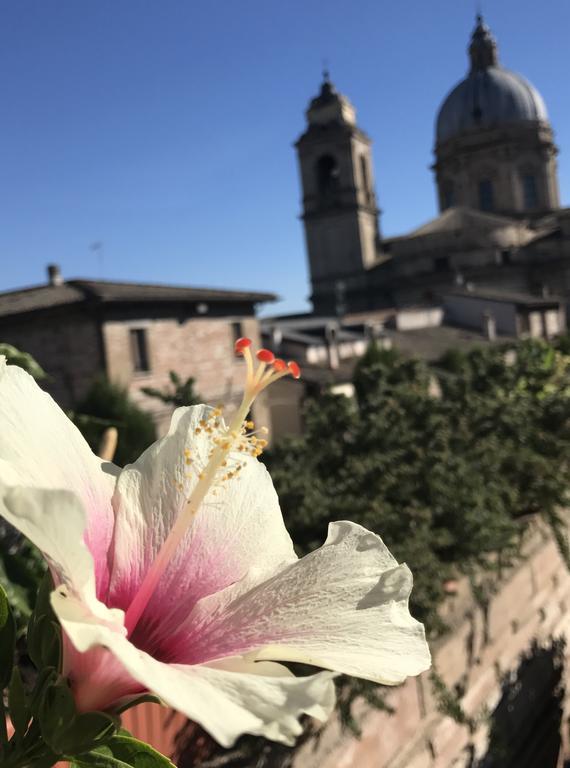Camere Il Cantico Assisi Eksteriør bilde